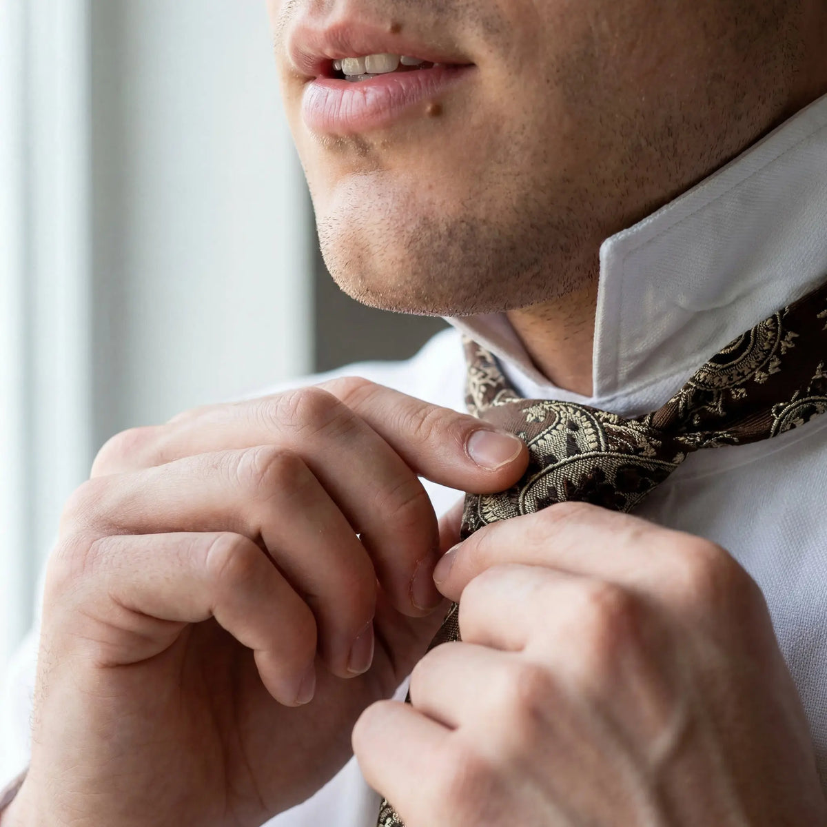 Carnac · corbata con estampado paisley marrón chocolate con detalles dorados y beige