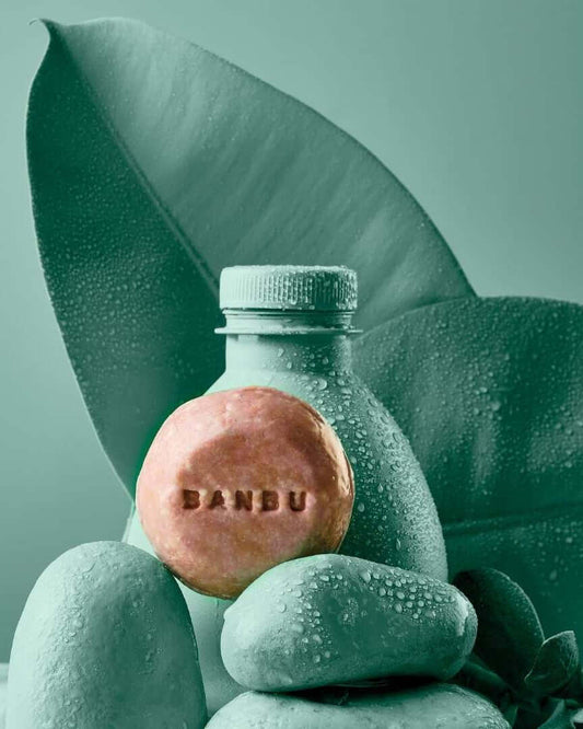 Pastilla de champú sólido Banbu sobre piedras y hojas húmedas en tonos verdes, evocando frescura y naturaleza.