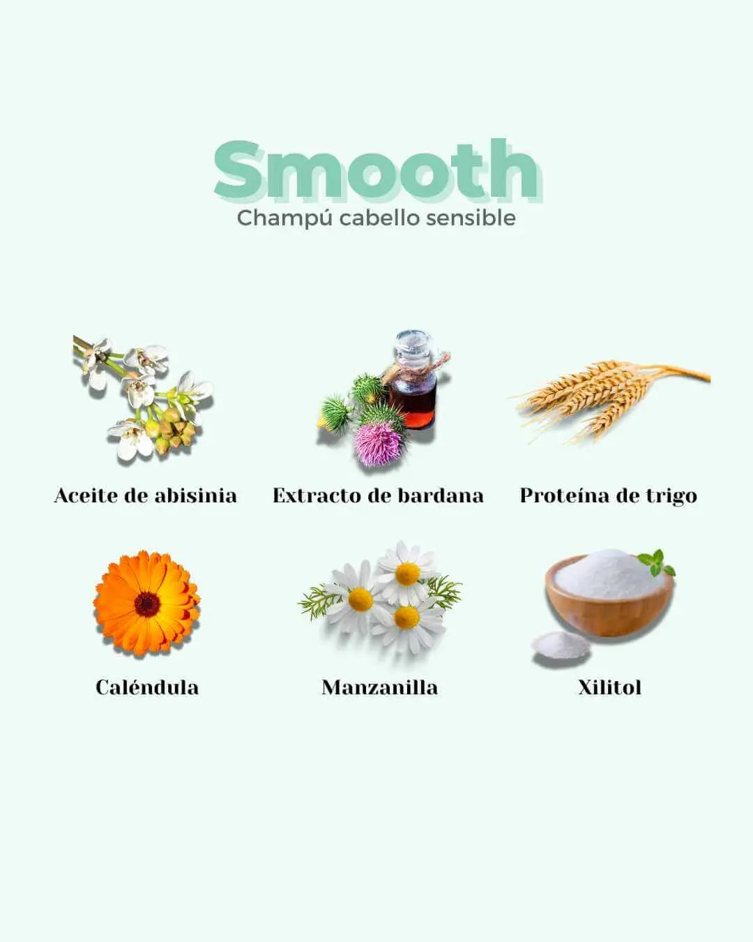 Imagen de Banbu: Ingredientes naturales del champú sólido Smooth para cabello sensible sobre fondo verde claro.