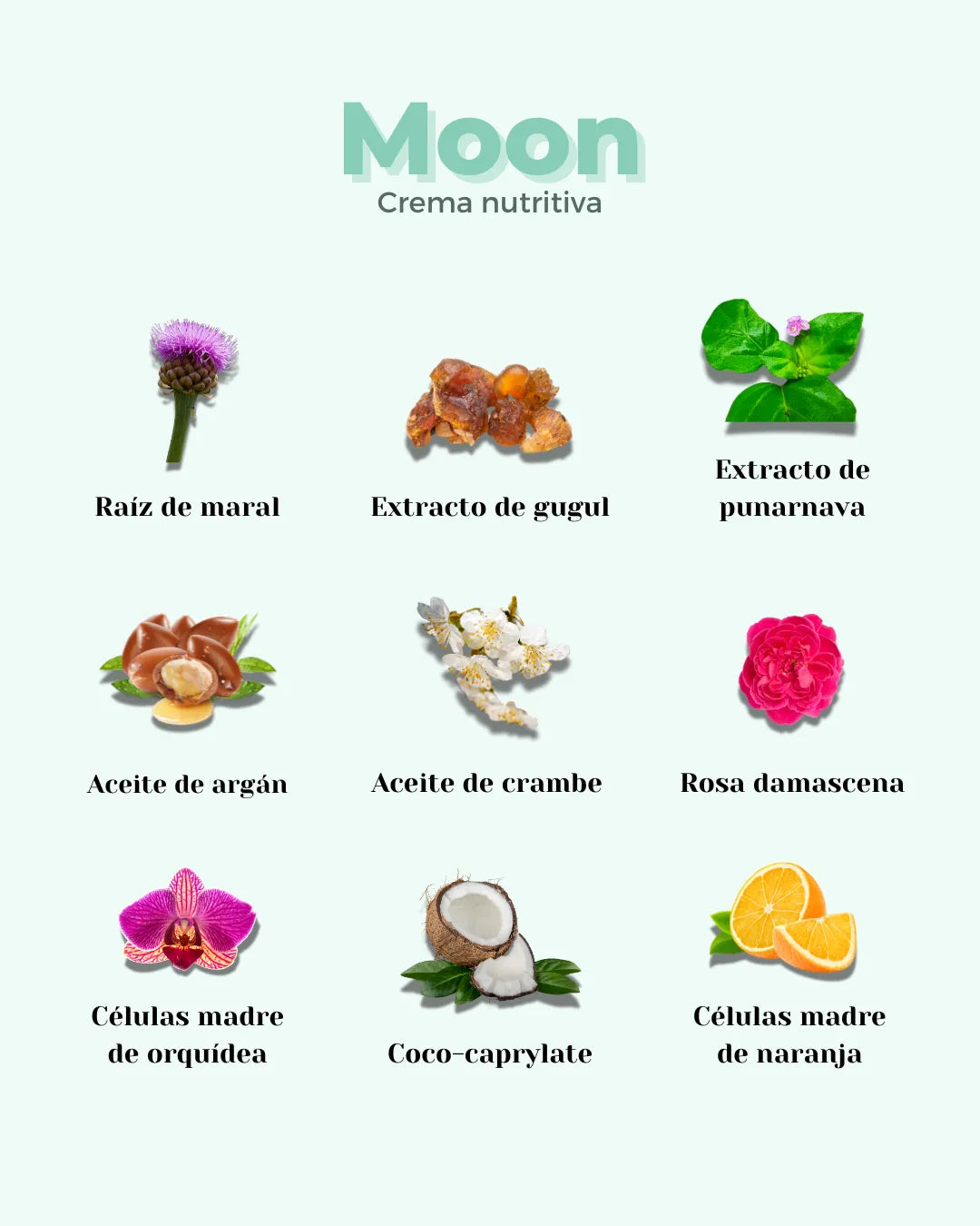 Infografía de ingredientes naturales para la crema facial Moon de Banbu sobre fondo verde claro minimalista.
