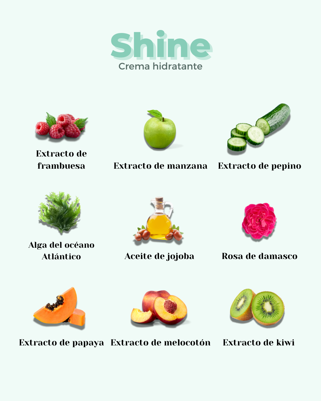 Gráfico sobre fondo verde claro que muestra ingredientes naturales de la crema hidratante Shine de Banbu.