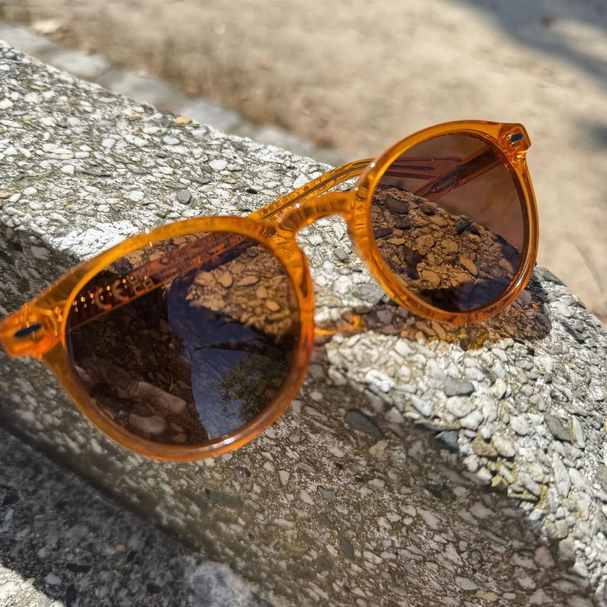 Gafas de sol redondas de acetato naranja transparente sobre un muro de piedra, estilo casual y moderno.