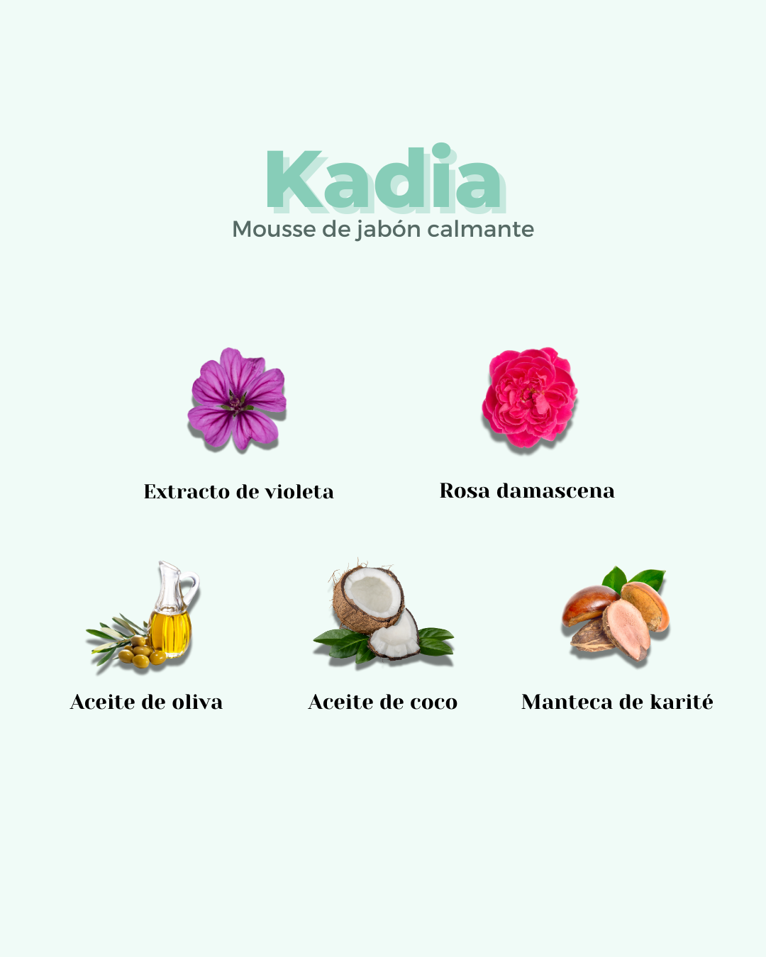 Imagen de Mousse facial Kadia de Banbu con ilustraciones de sus ingredientes naturales sobre fondo verde claro.