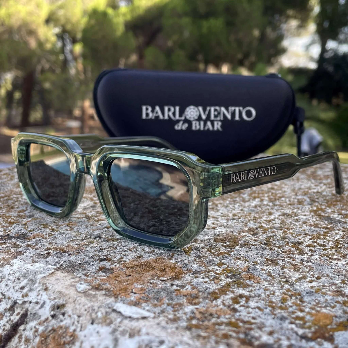 Gafas de sol rectangulares de acetato verde translúcido con cristales oscuros sobre una piedra, y estuche detrás.