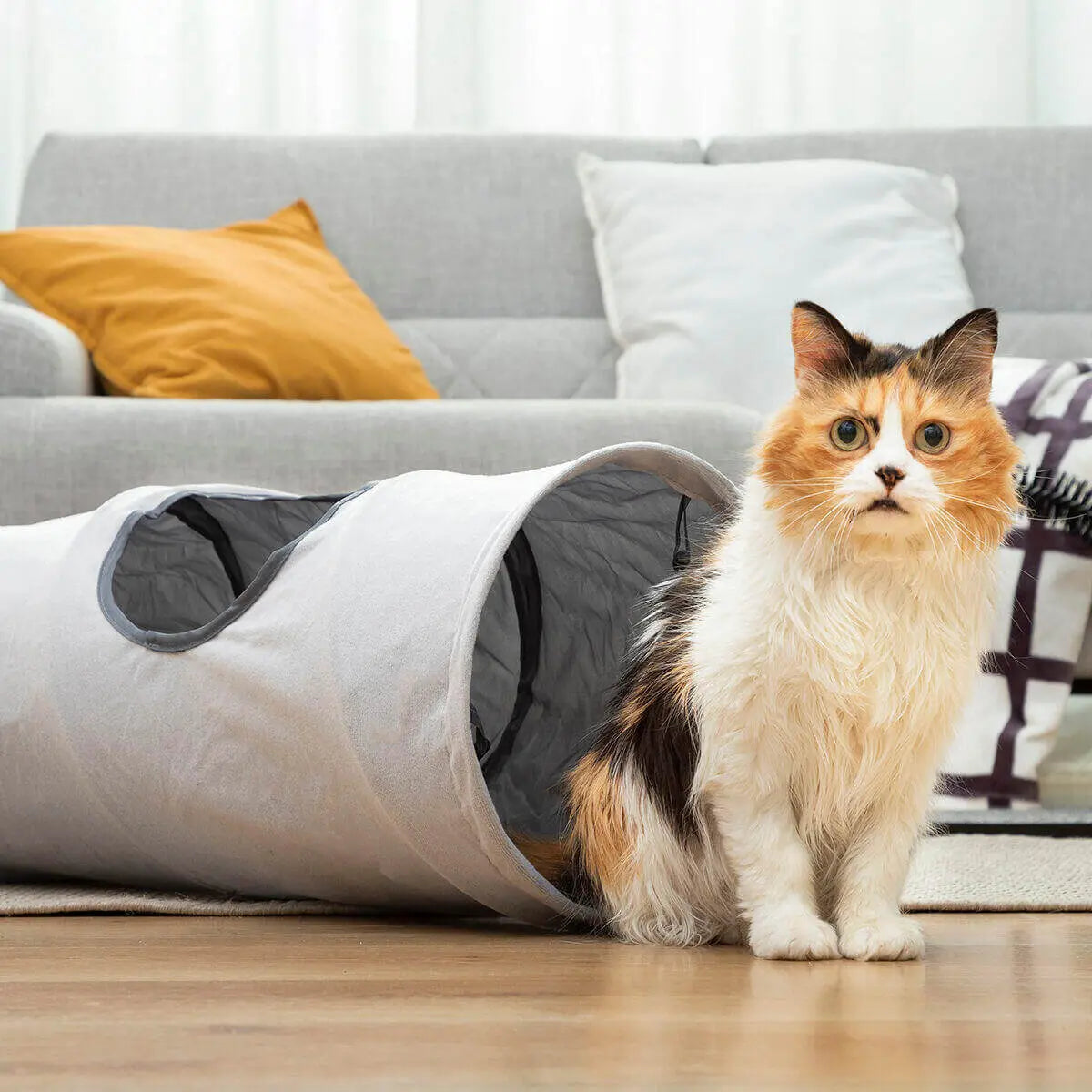 Gato calicó sentado junto a un túnel de tela gris plegable con abertura lateral en una sala de estar.