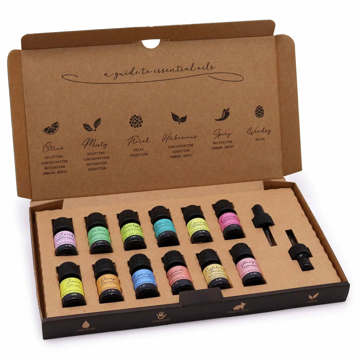 Set de 12 aceites esenciales en frascos pequeños de colores, organizados en una caja de cartón con guía informativa.