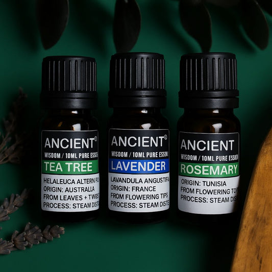 Aceites esenciales puros Ancient Wisdom: té verde, lavanda y romero en frascos marrones de vidrio de 10 ml. Aromaterapia pura y natural.