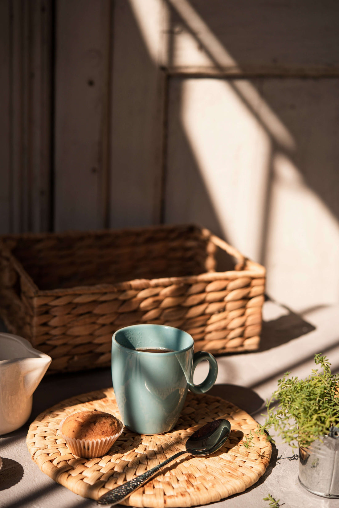 Santé intestinale & bien-être