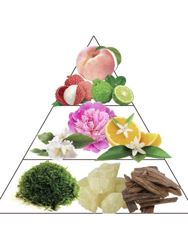Fragrance pyramid showing peach, lychee, bergamot, peony, jasmine, orange, moss, musk, and woody notes on white.