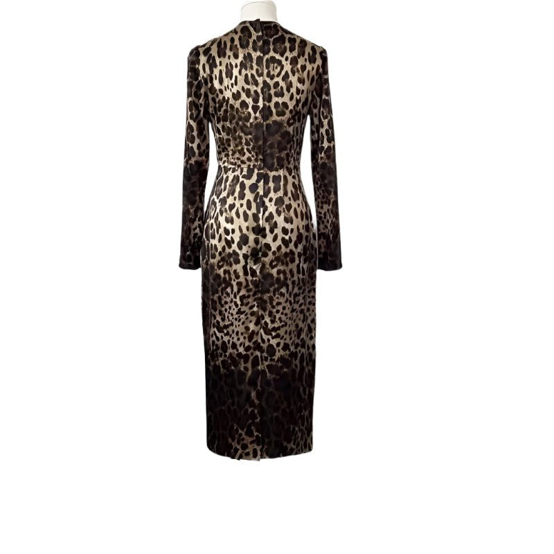 Brown leopard print long sleeve velvet dress with a fitted silhouette and back zipper closure.
