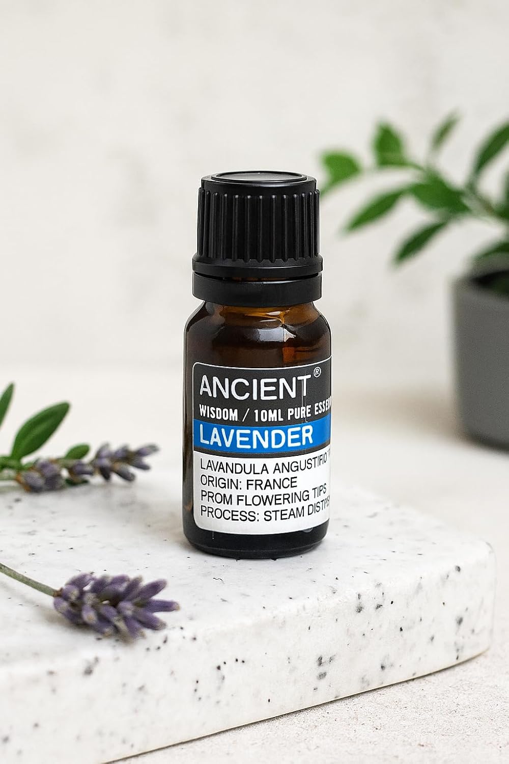 Aceite Esencial Lavanda - 10ml