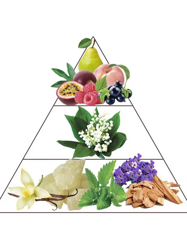 Fragrance pyramid diagram: top shows fruits, middle white flowers, bottom vanilla, green leaves, lavender, and wood chips.