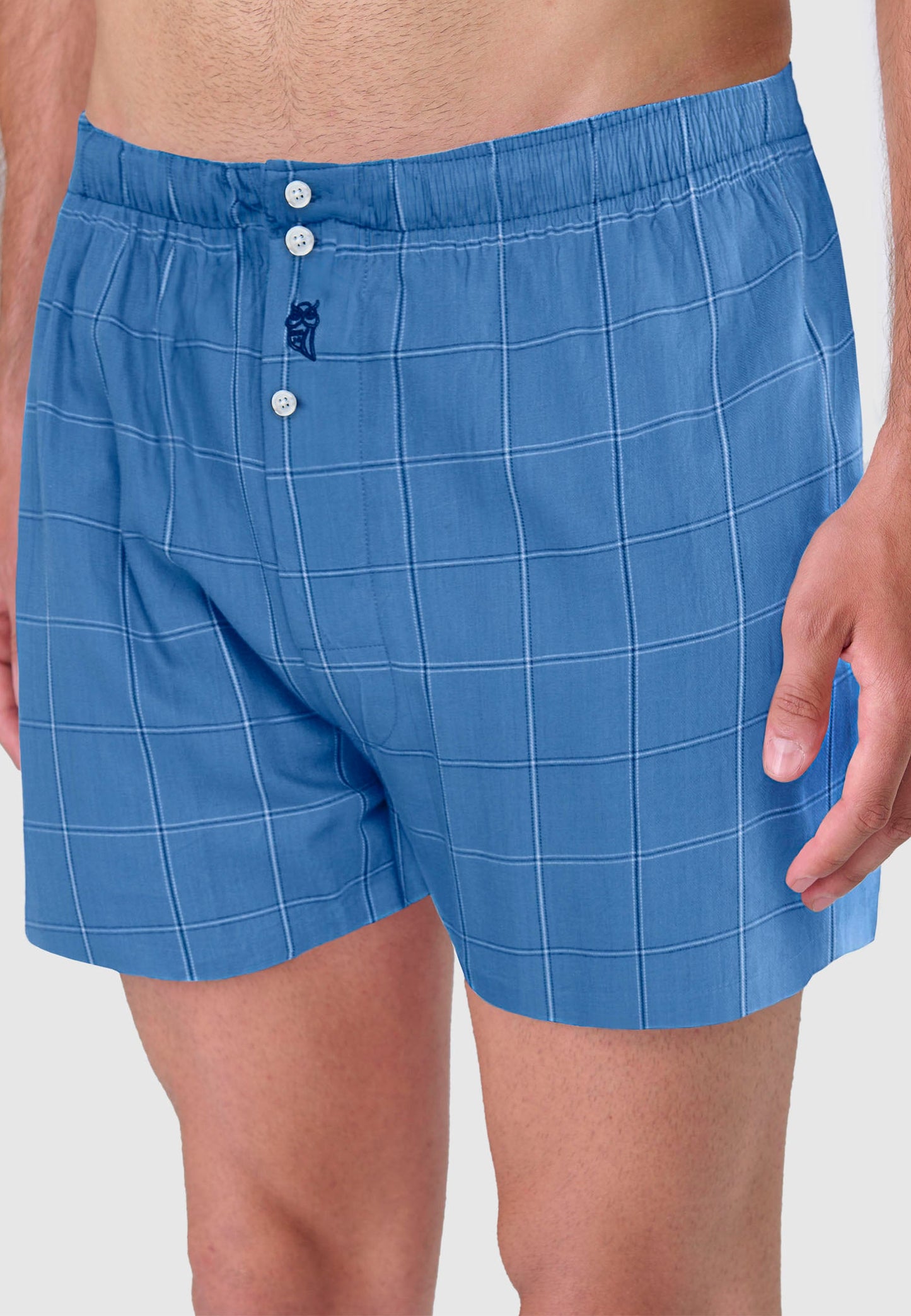 Calzoncillo Bóxer Hombre Algodón Popelín Cuadros - Azul 6933_38