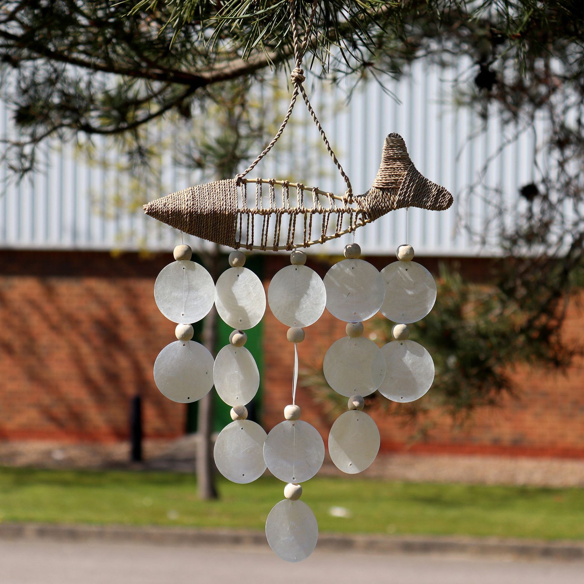 Pez en Cuerda y Gota Natural