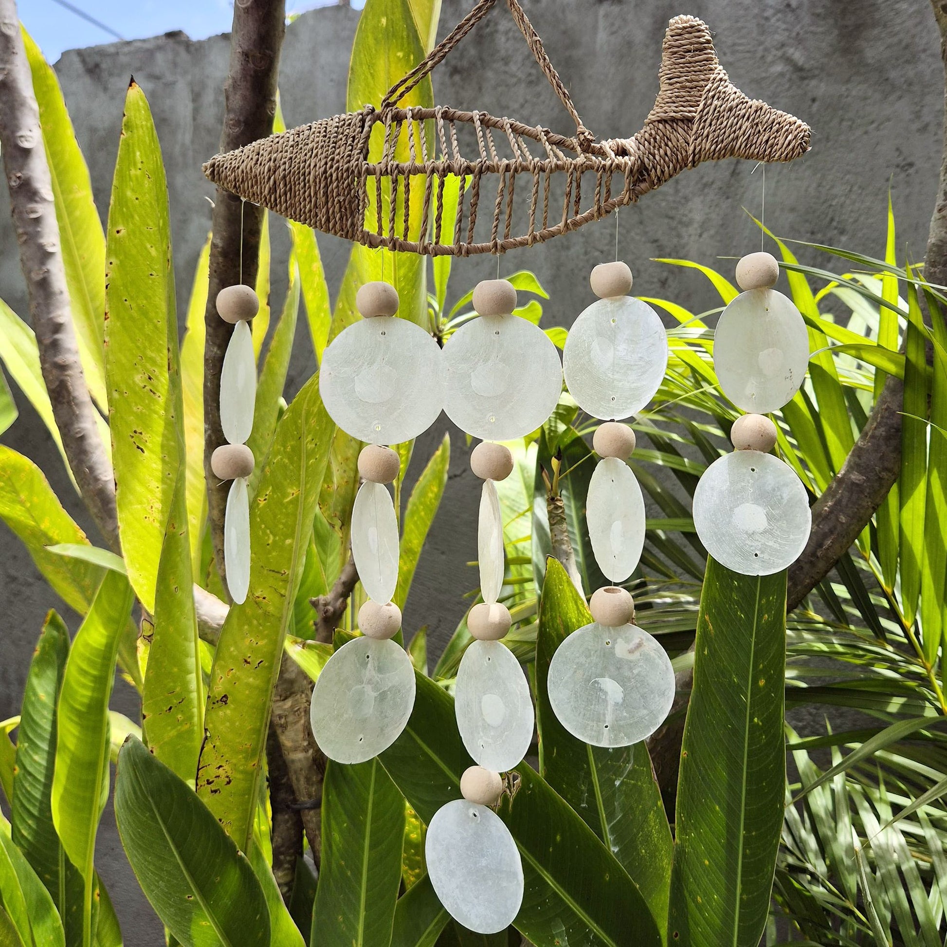 Pez en Cuerda y Gota Natural