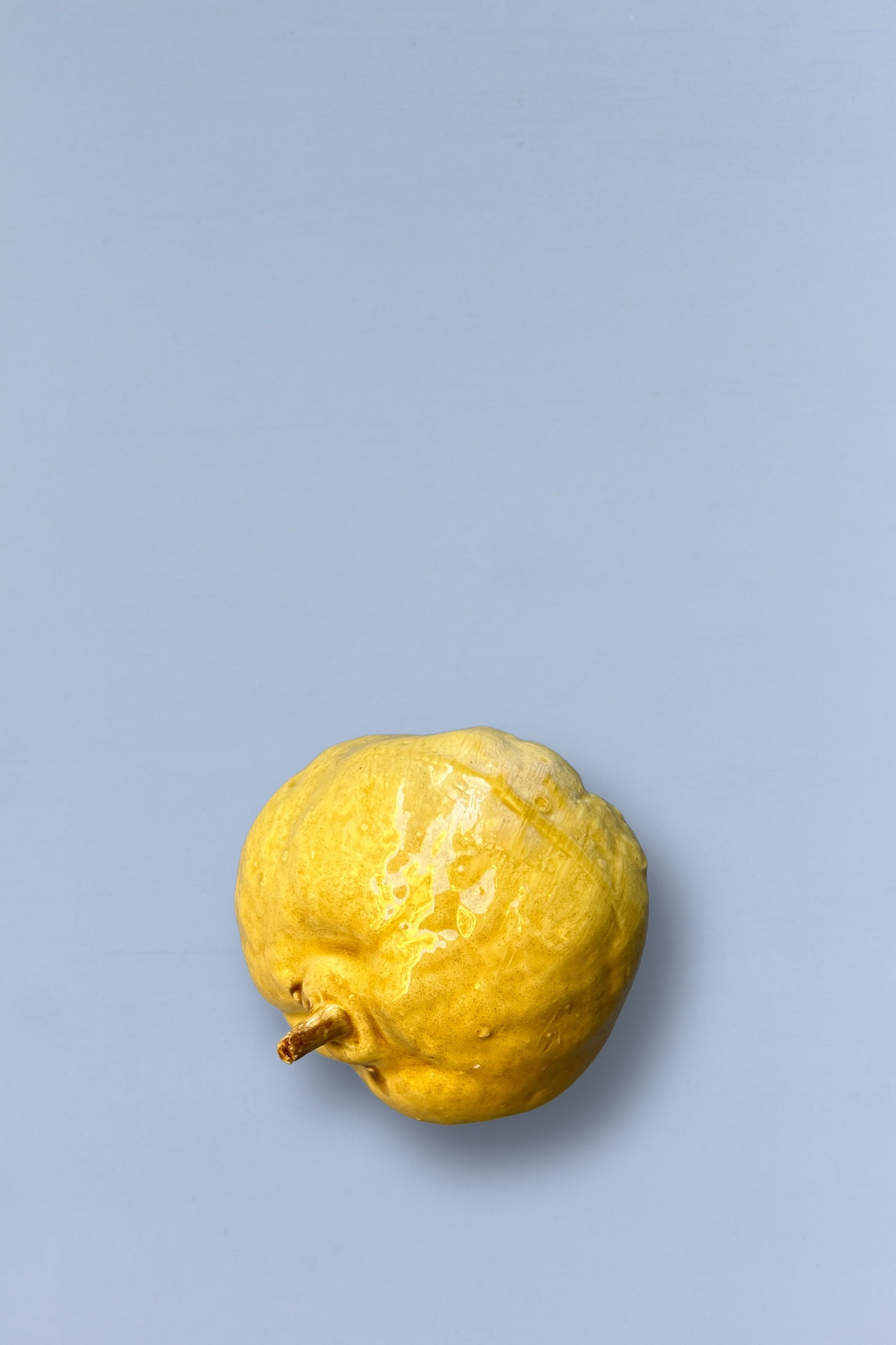 Membrillo amarillo brillante sobre fondo azul claro, ideal para postres y conservas.