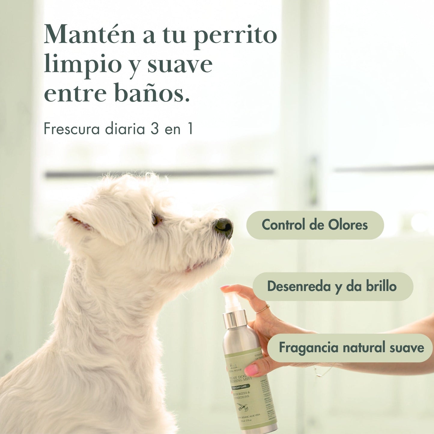Spray 3 en 1 para perros, acero inoxidable, control de olores, desenreda, fragancia suave, ideal para higiene canina.