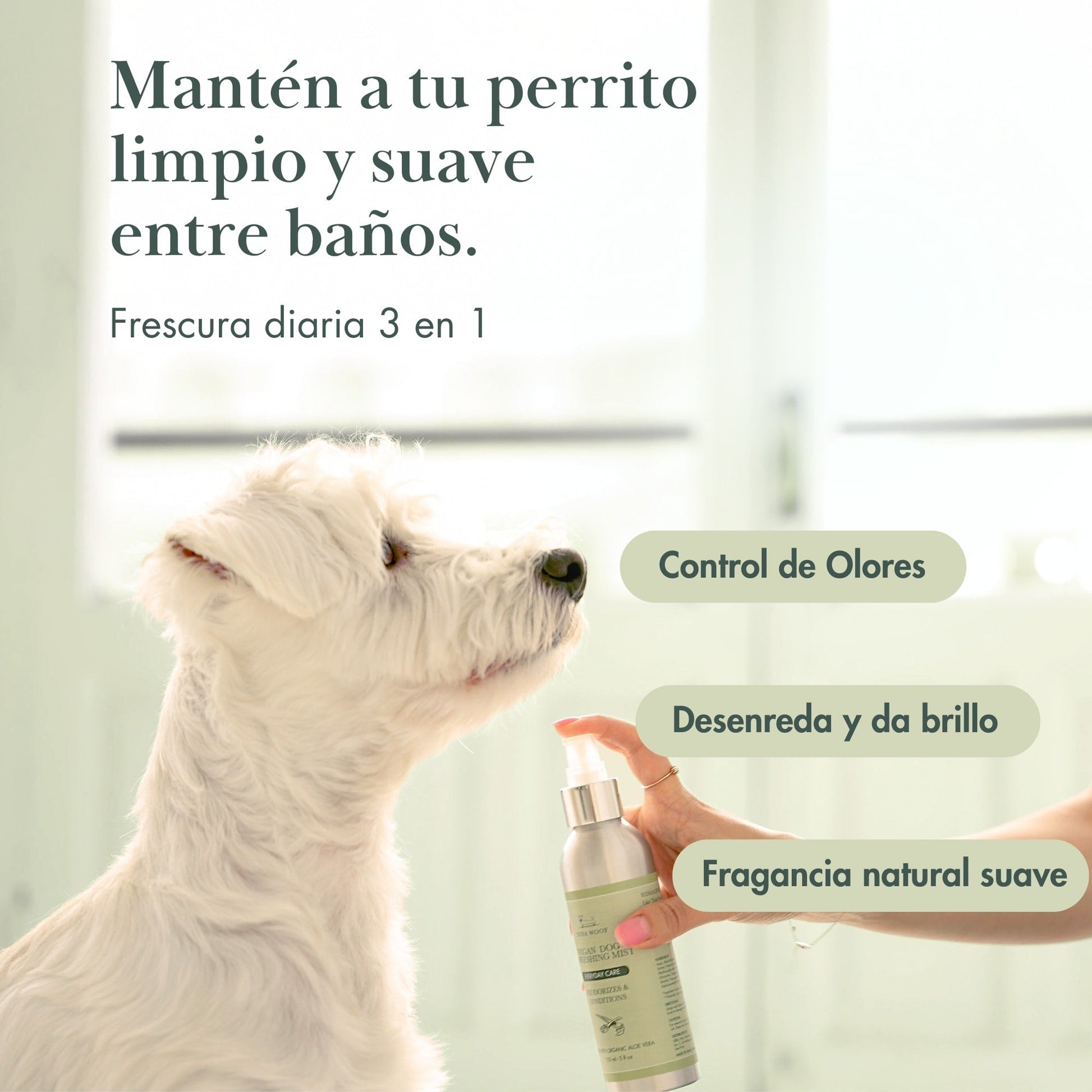 Spray 3 en 1 para perros, acero inoxidable, control de olores, desenreda, fragancia suave, ideal para higiene canina.