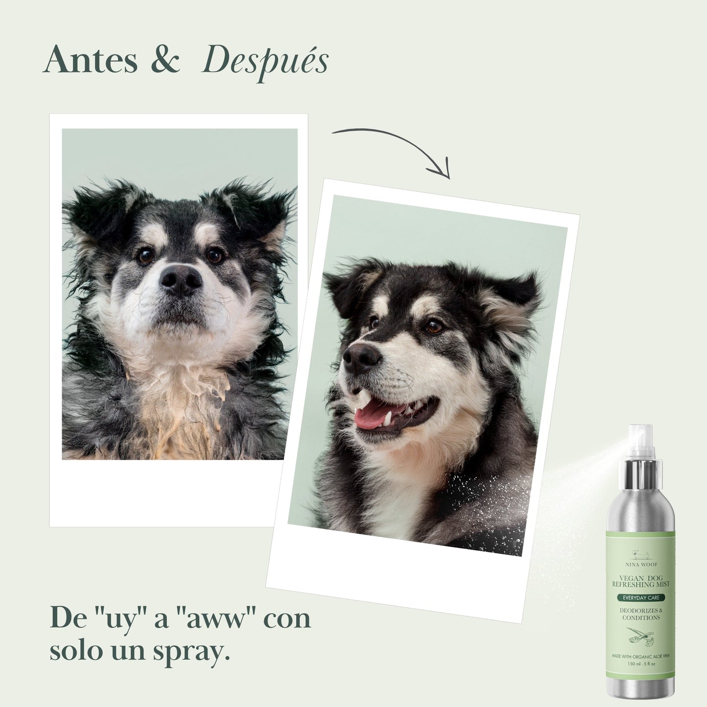 Petróleo de coco para mascotas, spray desenredante, acero inoxidable, estilo moderno. Ideal para pelajes suaves.