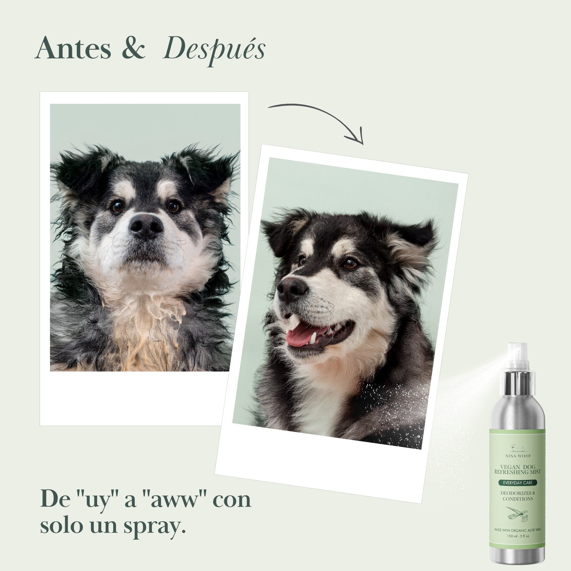Petróleo de coco para mascotas, spray desenredante, acero inoxidable, estilo moderno. Ideal para pelajes suaves.