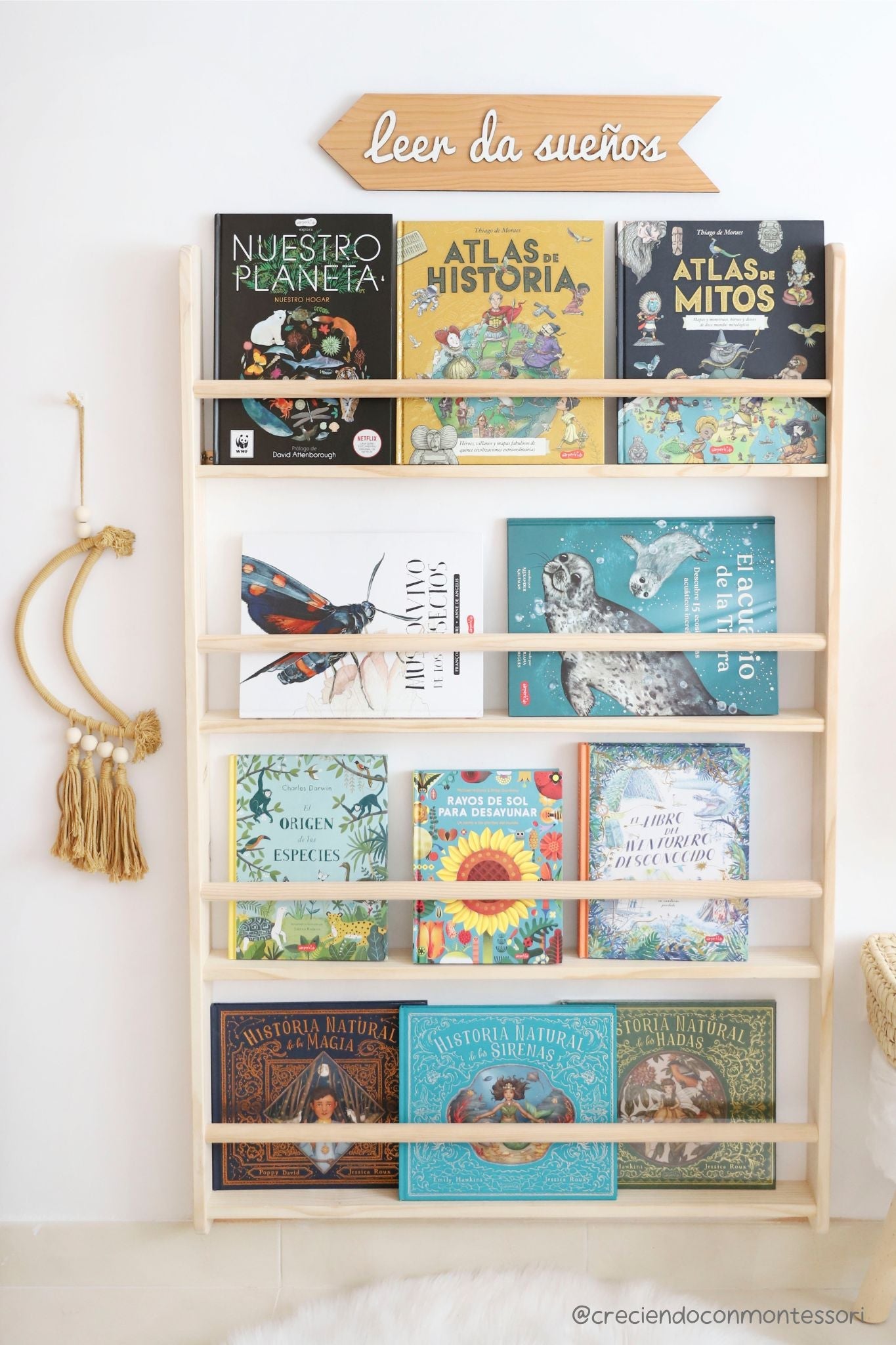 Estante de madera clara con libros coloridos, incluyendo cuentos de historia y naturaleza en español.