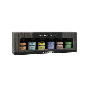 A set of six small essential oil bottles with colorful labels in a rectangular, wood-textured gray cardboard box.