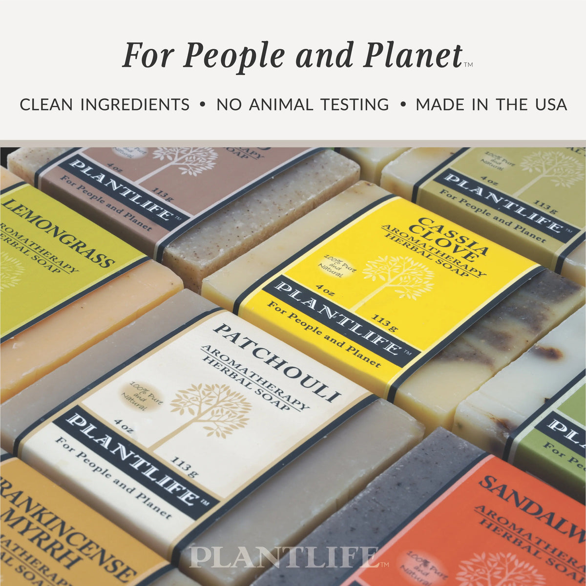 Assorted rectangular bars of aromatherapy herbal soap with individual labels, featuring a central Cassia Clove bar.