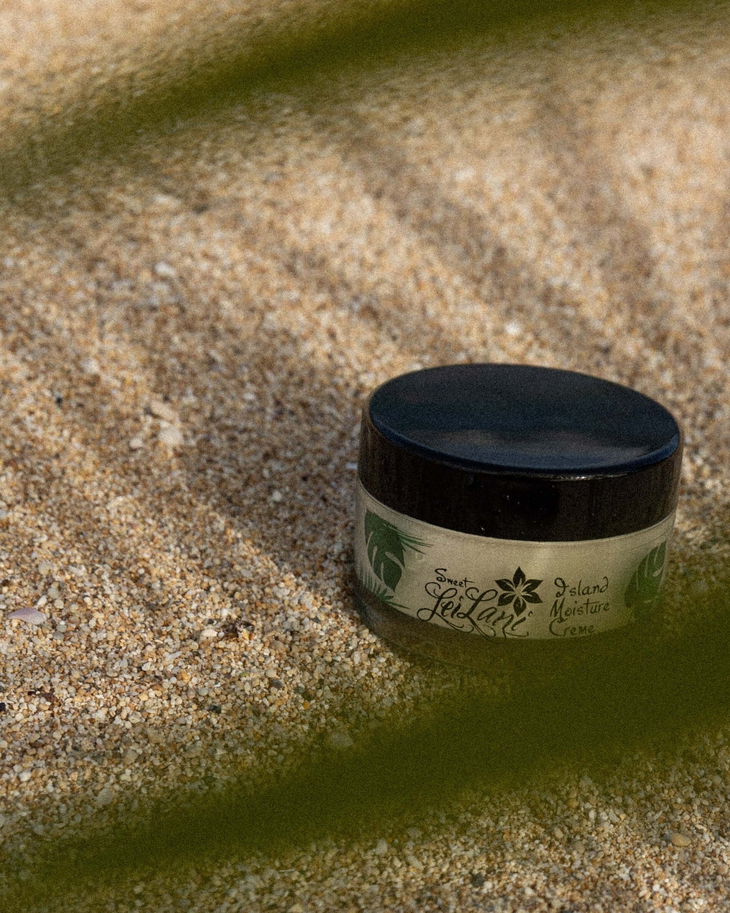 Island Moisture face and hair conditioner jar on sandy beach with green leaves around.