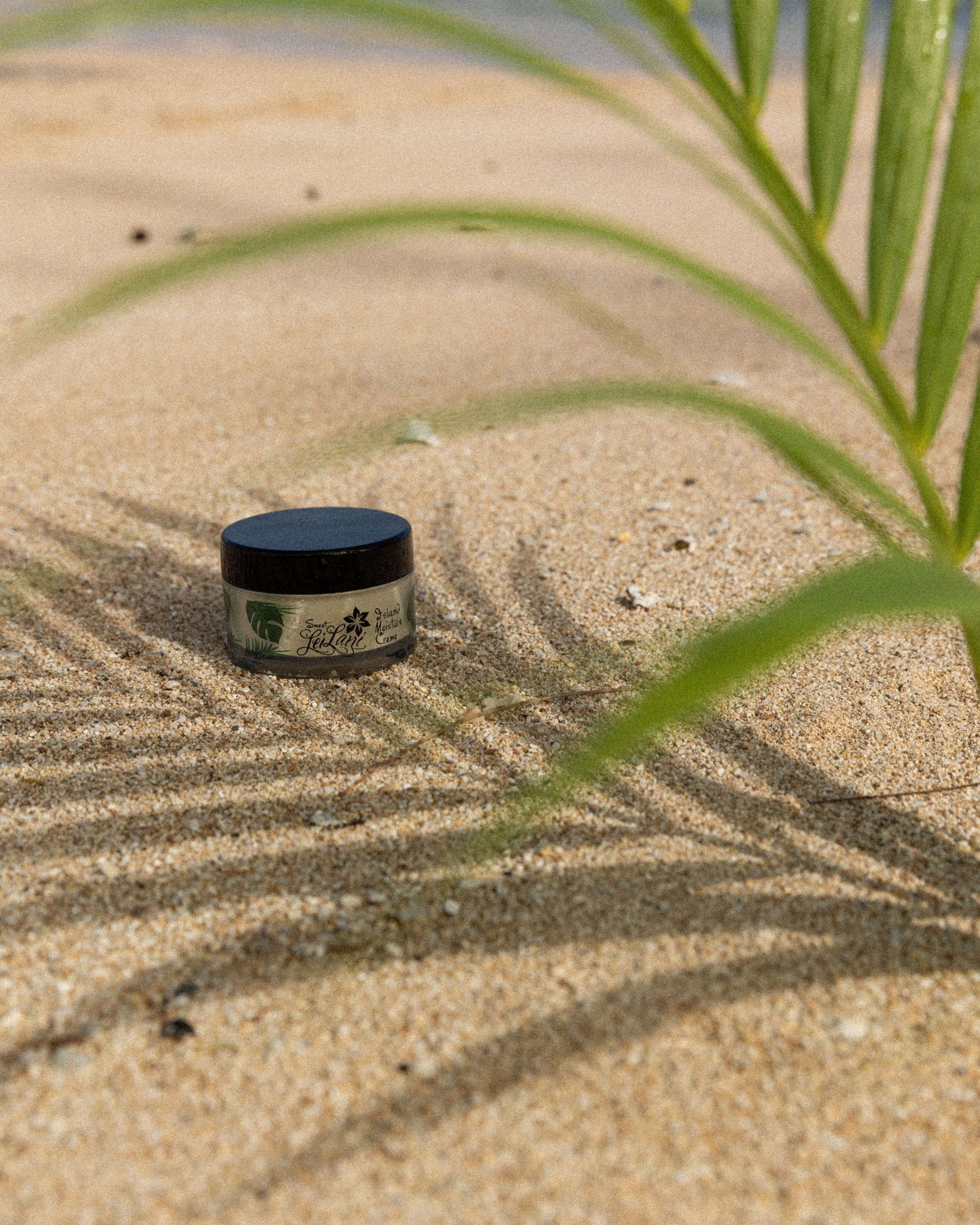 Island Moisture face and hair conditioner resting on sandy beach with green plant leaves in the background.