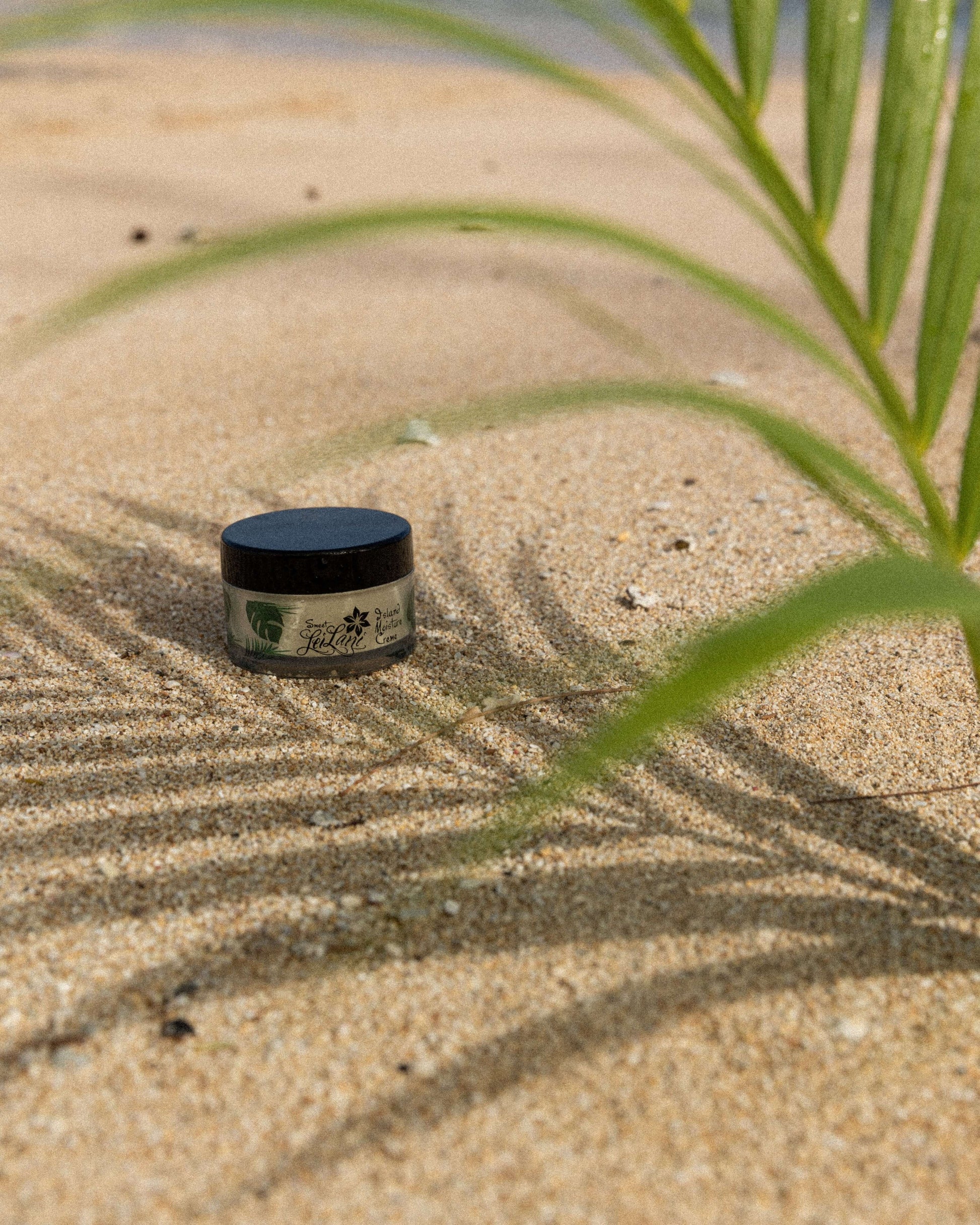 Island Moisture face and hair conditioner resting on sandy beach with green plant leaves in the background.