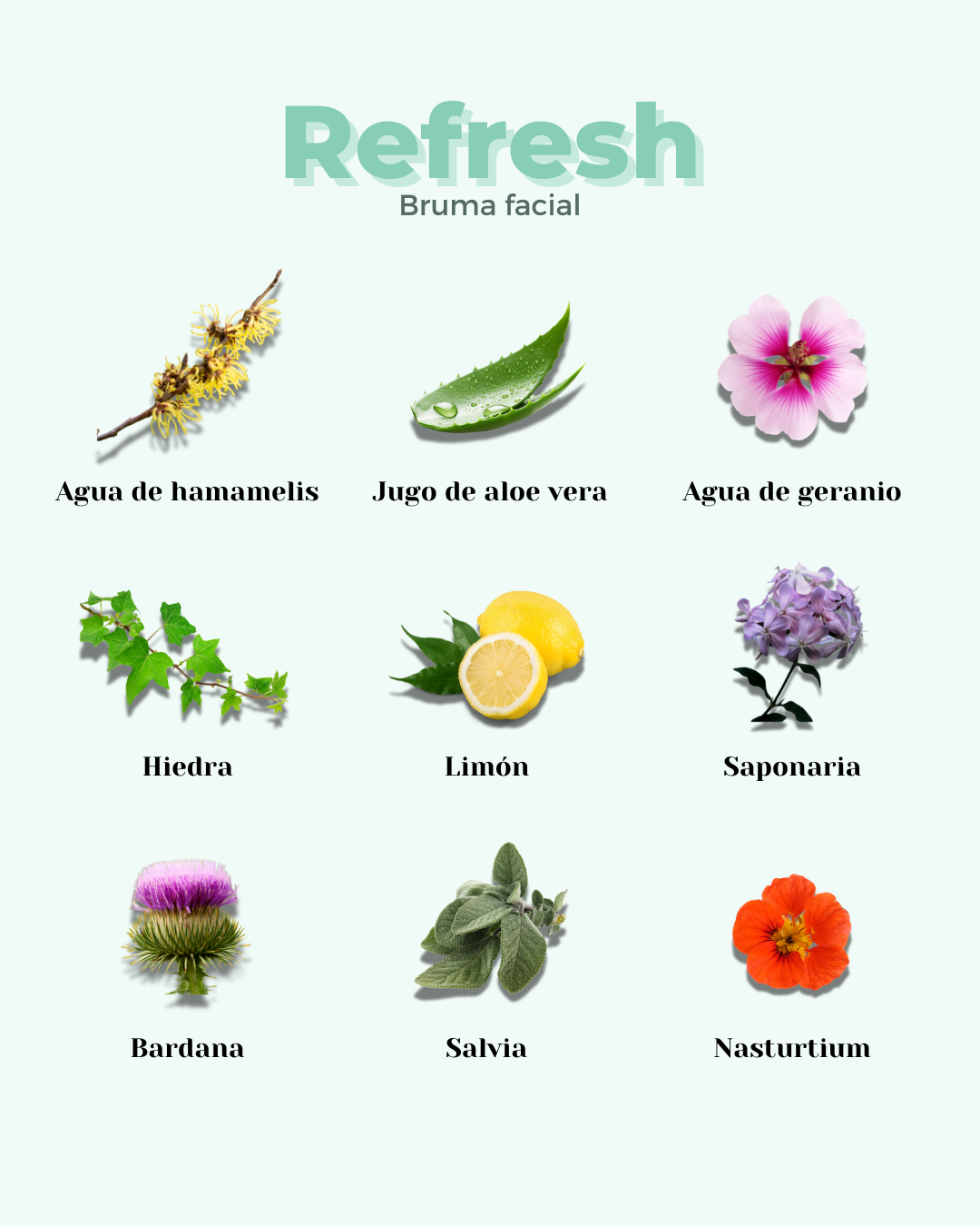 Tónico para Pieles Grasas REFRESH