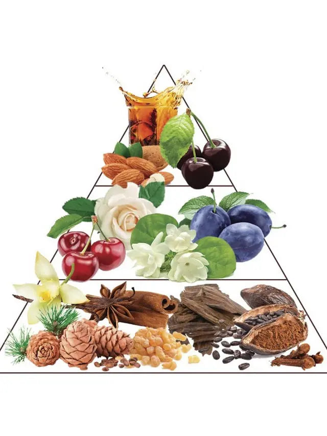Perfume scent pyramid featuring cherries, almonds, white flowers, plums, vanilla, spices, wood, and cocoa ingredients.