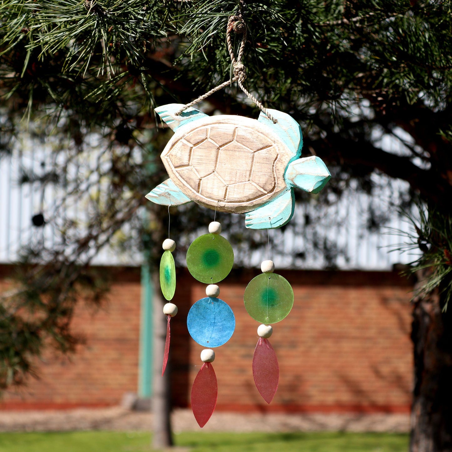 Talla de Tortuga en Aqua y Gota