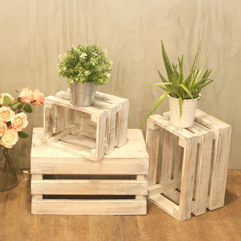 Caja de frutas set de 3 - Blanco
