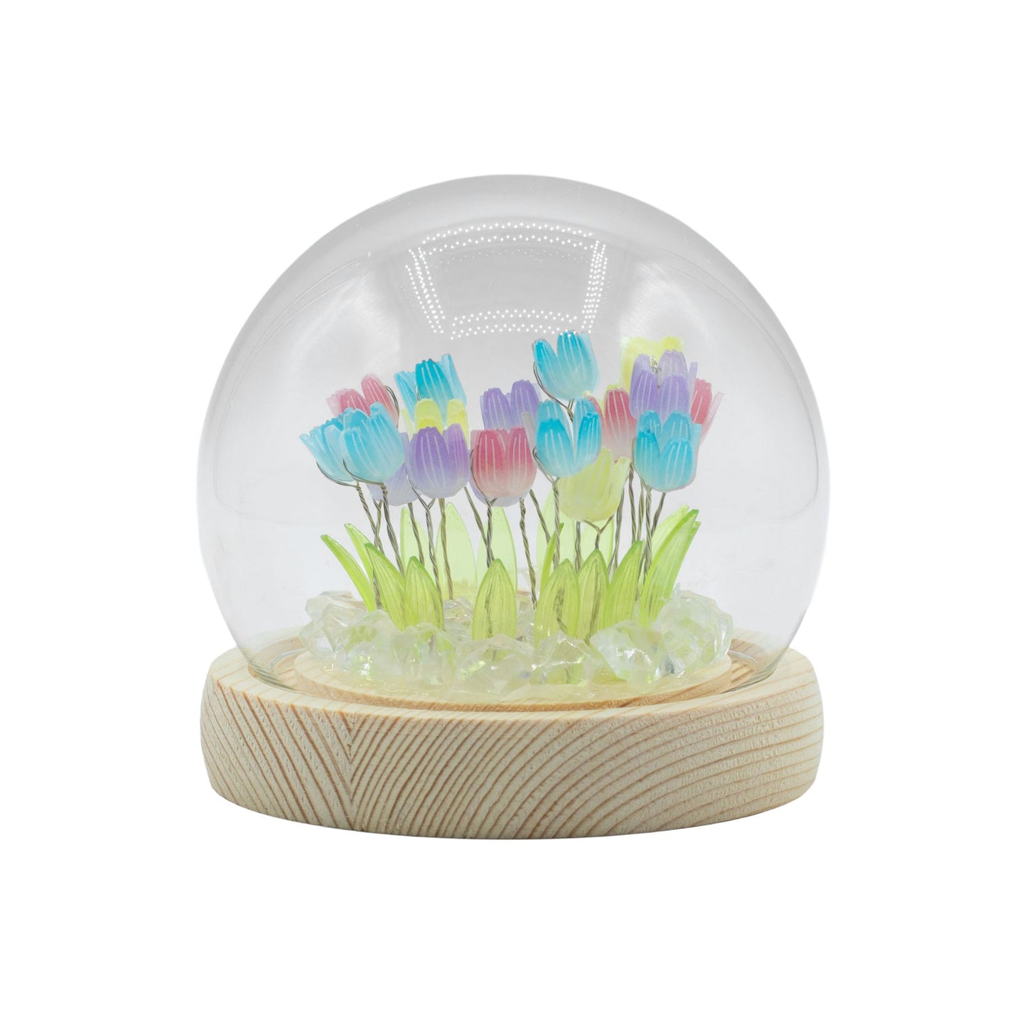 Domo de jardín Floral Glow - 20 tulipanes multicolor - LED USB