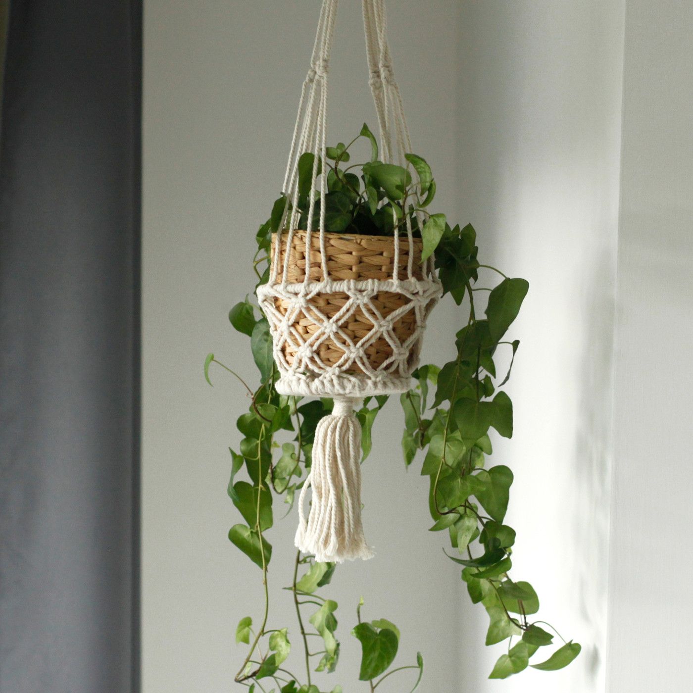 Macramé colgante blanco con unión en cuerda, maceta de mimbre y plantas verdes decorativas.