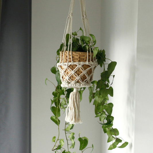 Macramé colgante blanco con unión en cuerda, maceta de mimbre y plantas verdes decorativas.