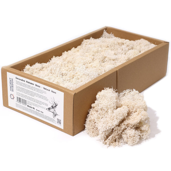 Musgo de Reno para Decoración - Blanco