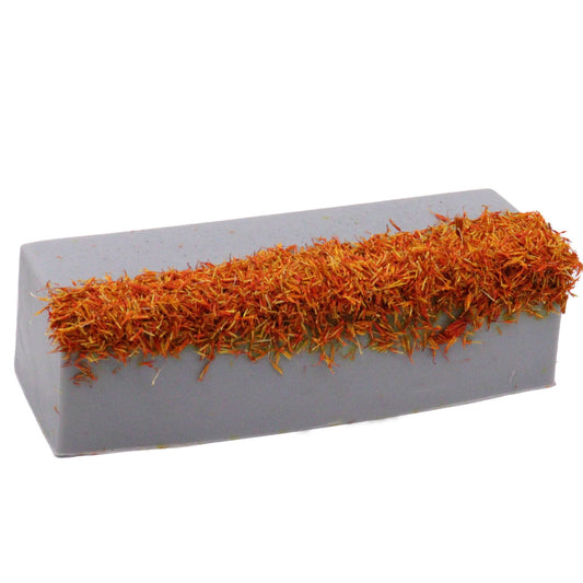 Barra de Jabón Coastal Wilderness