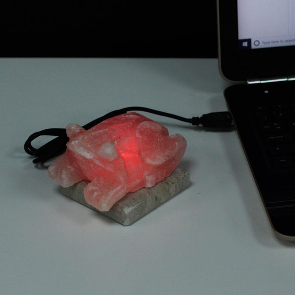 Lámpara de sal del Himalaya con forma de sapo USB (Multi)