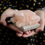 Lámpara de sal del Himalaya con forma de sapo USB (Multi)