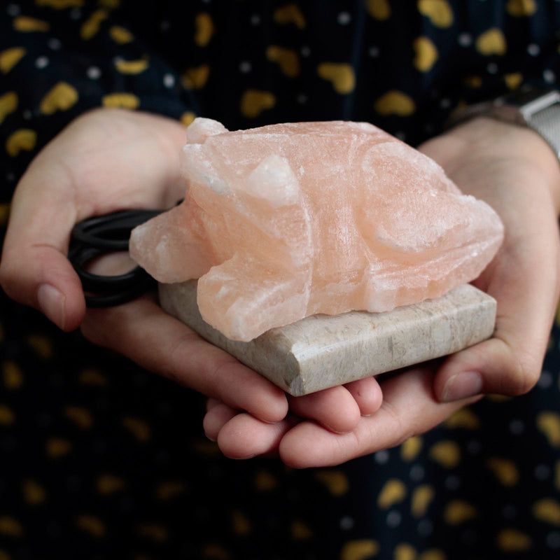 Lámpara de sal del Himalaya con forma de sapo USB (Multi)