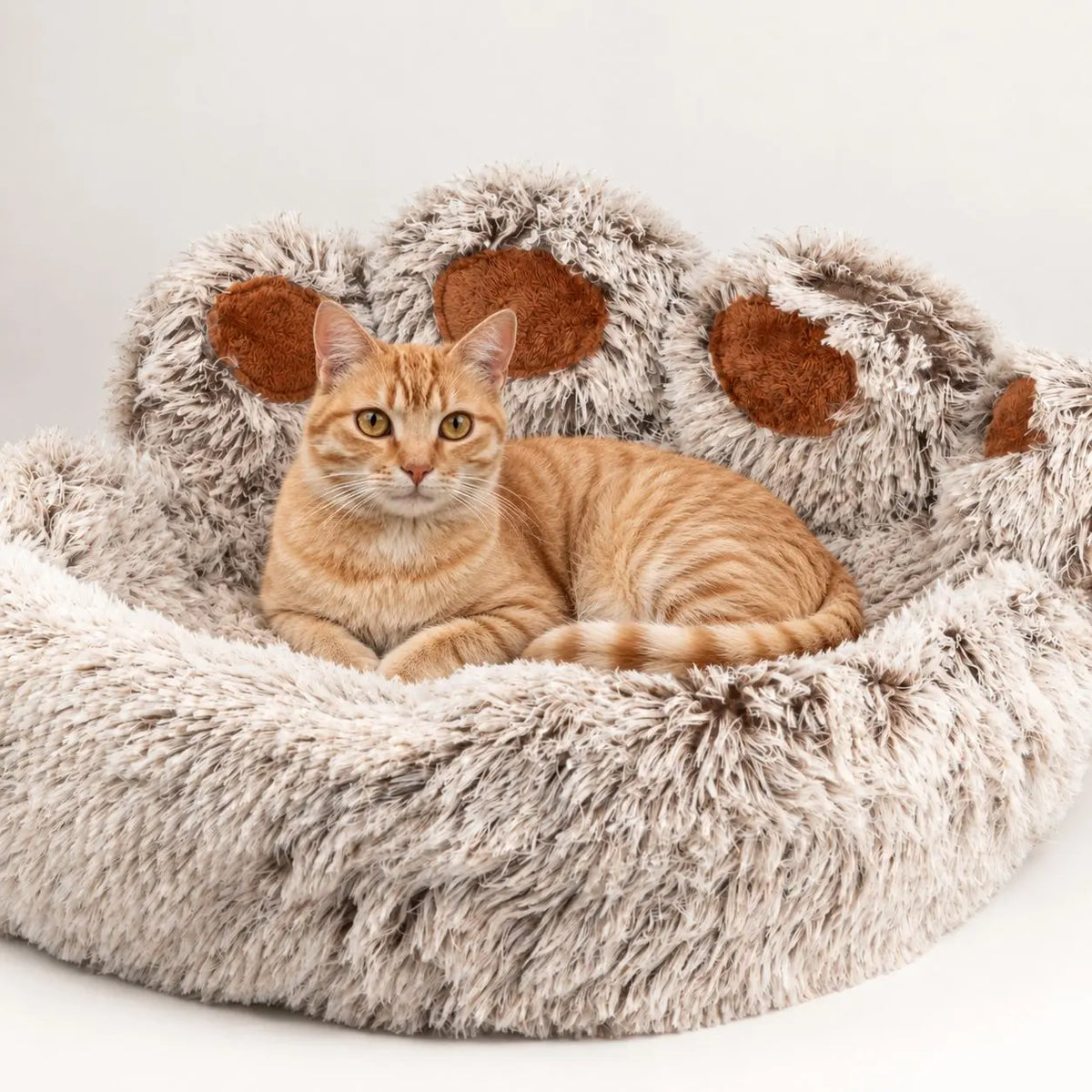 Gato atigrado naranja descansando en una cama para mascotas con forma de huella