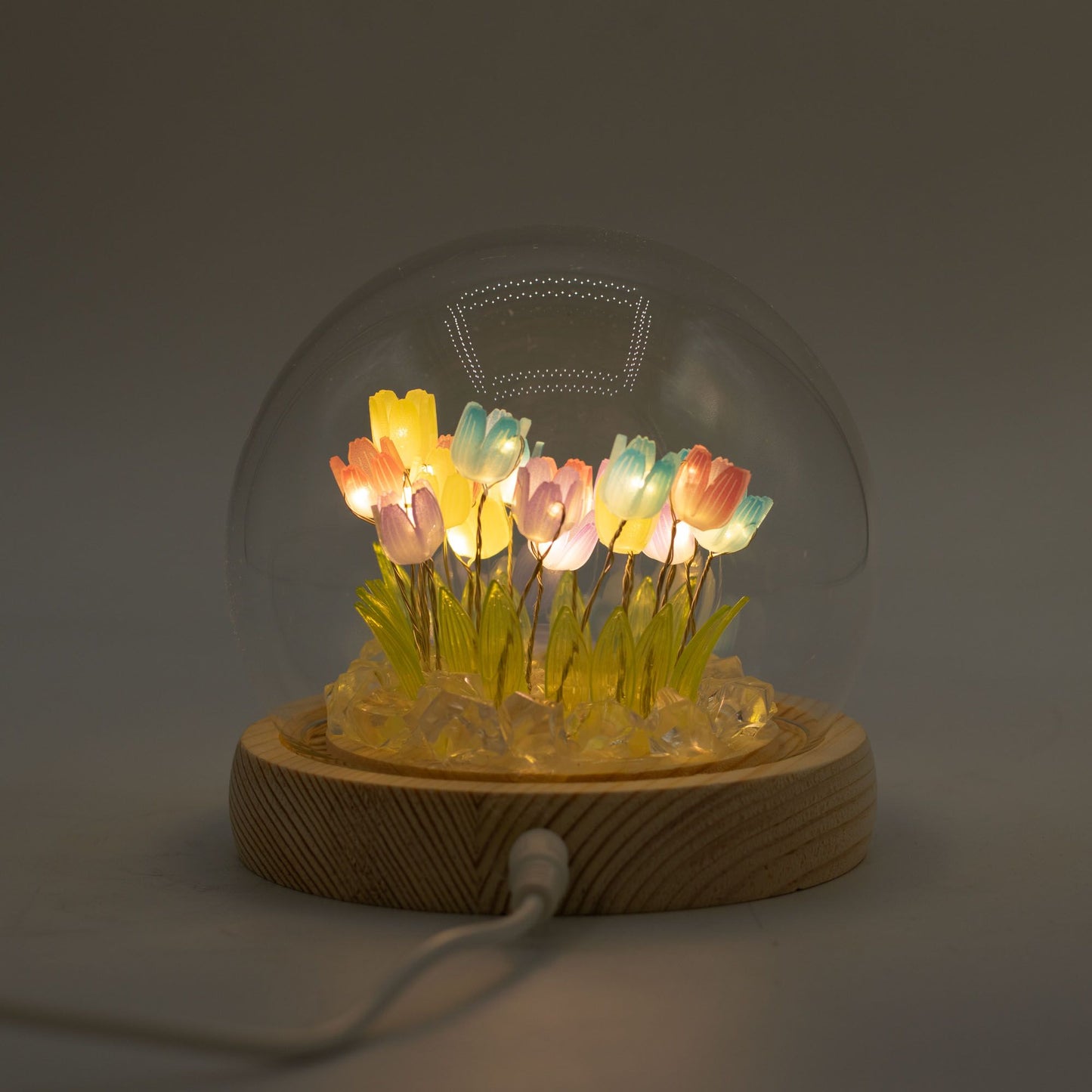 Domo de jardín Floral Glow - 20 tulipanes multicolor - LED USB