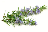 Champú Sólido - Lavanda y Romero