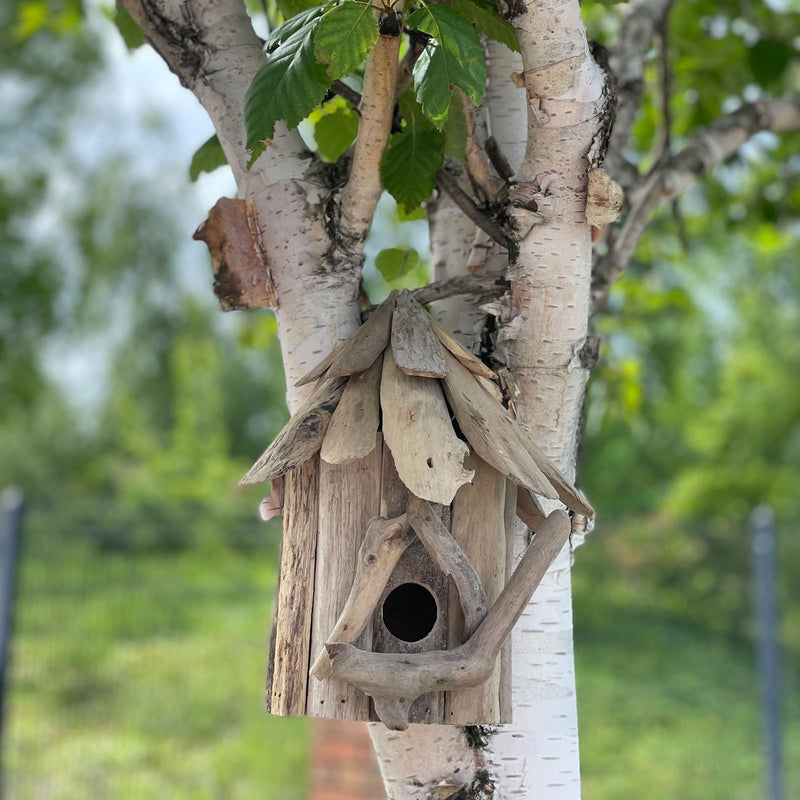 Casa de Pájaros Madera de Balsa - Para Colgar de Pared