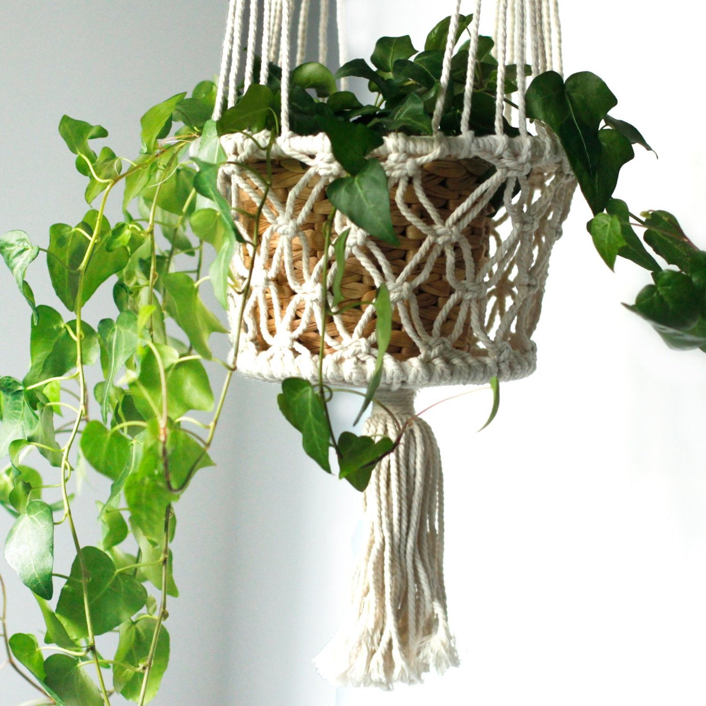 Macetero colgante trenzado en algodón natural, con base de mimbre y planta verde, estilo bohemio.