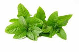 Champú Sólido - Tomillo y Menta