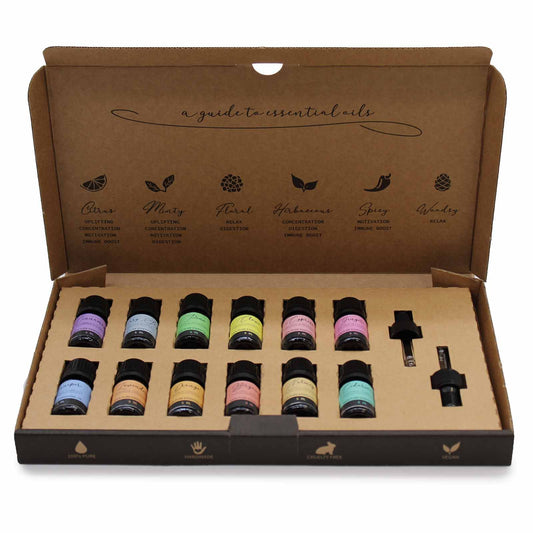 Set de aceites esenciales en caja de cartón, 12 frascos de colores diversos, ideal para relajación y meditación.