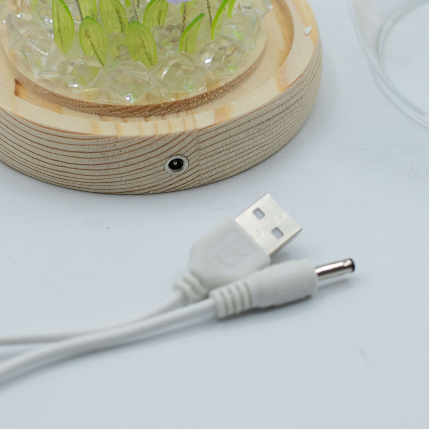 Domo de jardín Brillo Floral - 20 tulipanes - LED USB
